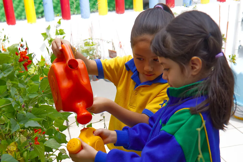Niñas y niños trabajando en el huerto escolar de Happy Days